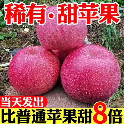 甘肃静宁秦冠粉面沙甜刮泥辅食