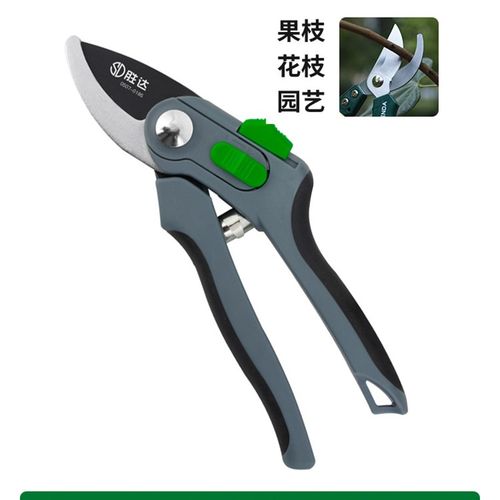 果树修枝剪树枝专用园r艺剪刀花卉花艺强力省力剪粗大枝果枝剪