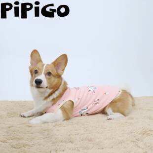 柯基衣服可爱防掉毛宠物狗狗背心纯棉透气薄春夏四季屁屁狗pipigo