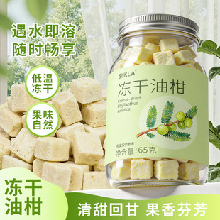 冻干油柑果味自然低温冻干遇水即溶夏季泡水喝清爽解腻清甜回甘