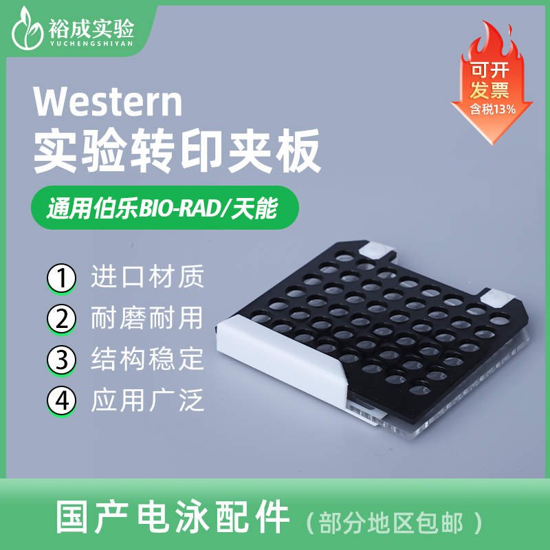 裕成实验转膜三明治夹板电泳耗材