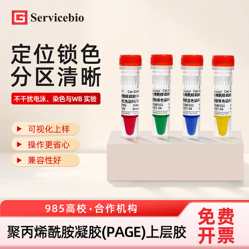 使点样孔清晰，易于将蛋白样品加入点样孔中