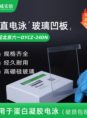 适配北京六一DYCZ-24DN蛋白电泳仪玻璃板Western Blot 平板凹板 加样梳试样格原位制胶器 电泳槽配件
