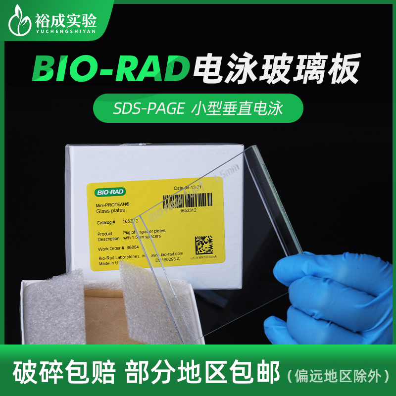 裕成实验Western Blot玻璃短板WB电泳厚玻璃板长板通用伯乐Bio-Rad1653308 1653310 1653311 1653312-封面