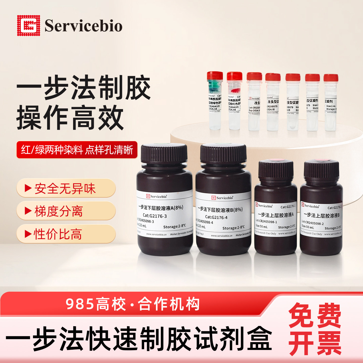 赛维尔生物Servicebio 一步法免染PAGE彩色凝胶超快速配制试剂盒6% 8% 10& 12% 15%凝胶快速制备试剂盒高分辨