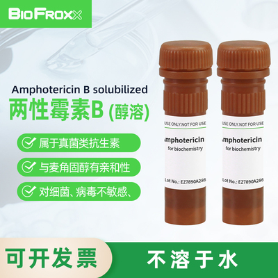 BioFroxx两性霉素B（醇溶）