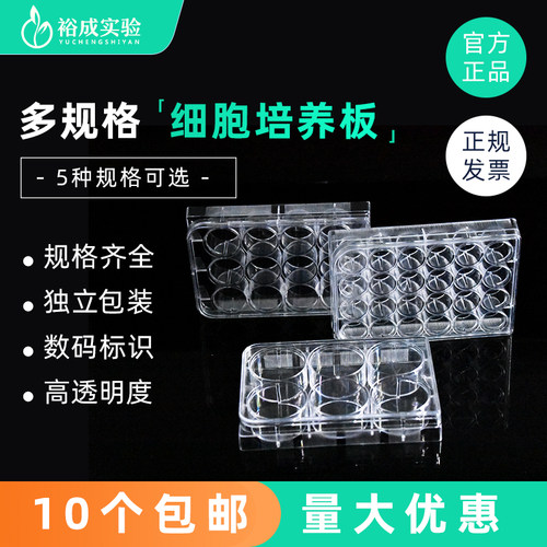多孔细胞培养板独立包装