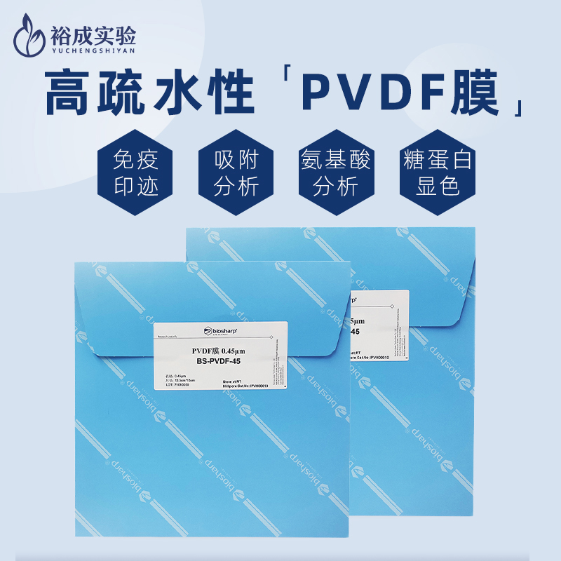 biosharp预裁剪PVDF膜