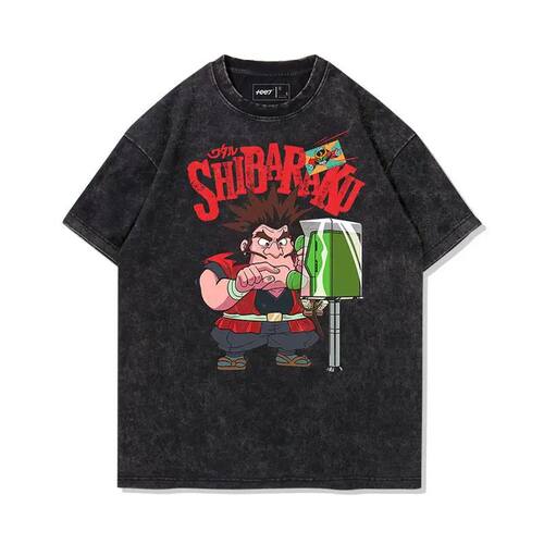 Vintage Animation Dragon Fighter Shibala Ancient Master Wash