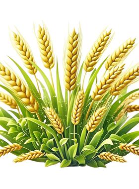 五谷丰登麦穗贴纸墙面客厅出租屋厨房瓷砖墙角小麦遮丑贴画防水贴
