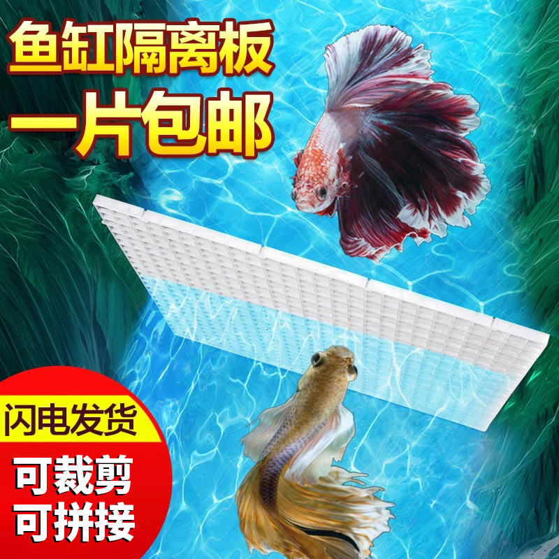 鱼缸加密隔离板底滤板乌龟晒台图片