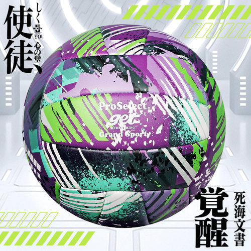 ProSelect专选排球中考学生专用球5号儿童小学生4号软皮充气硬排