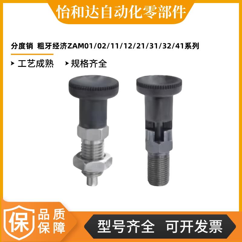ZAM01/02/11/12/21/31/32/41/42/51/52-M10分度销  粗牙经济