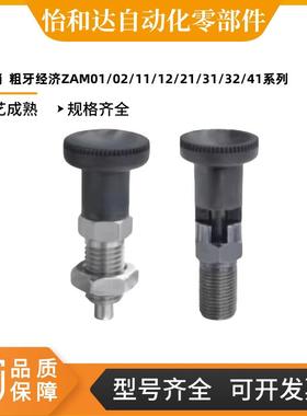 ZAM01/02/11/12/21/31/32/41/42/51/52-M10分度销  粗牙经济