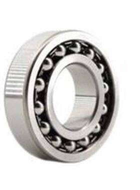 调心球轴承 BBT1204/1205/1206/1207/1209/1308/1309/2308AKTN