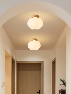 采购产品走廊，过道，入口，阳台，小型吸顶灯，无障碍豪华艺术，