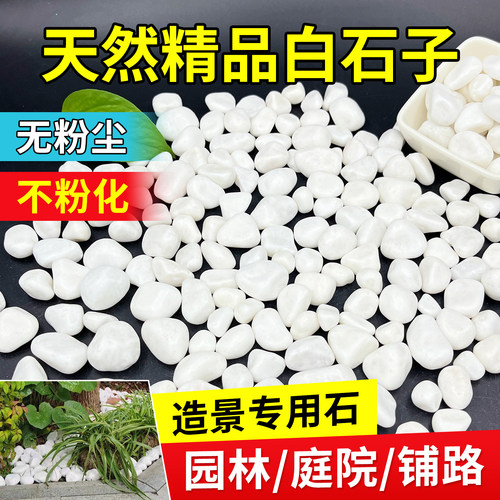 【小二推荐】庭院白石子白色石子
