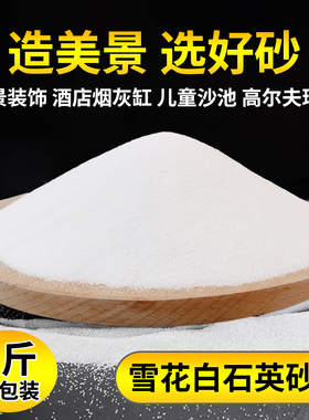 丙烯画白石英砂白色细沙鱼缸装饰水过滤白砂酒店烟灰缸儿童造景沙