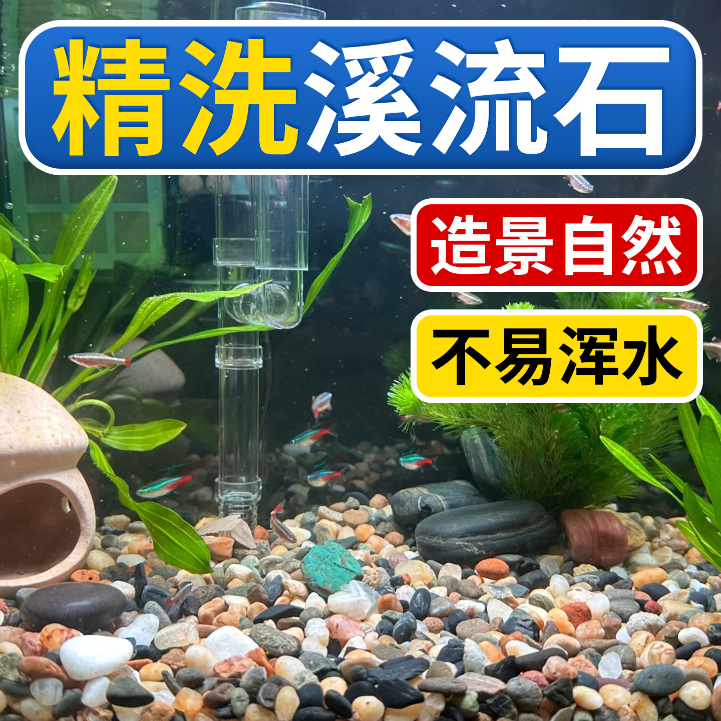 原生溪流沙鱼缸底砂溪流石乌龟缸造景鹅卵石沙鱼缸水族箱铺底专用