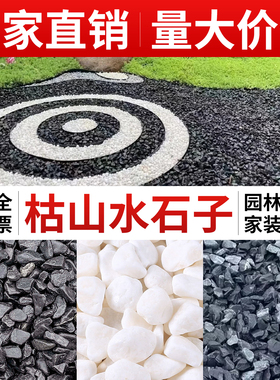 枯山水黑白石头子日式庭院装饰造景白黑灰色石子小砾石碎颗粒石子