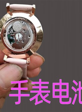 LR626手表电池LR920石英表电子LR621全新正品377 型号全SR626SW