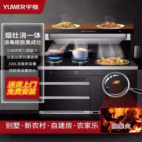 柴火灶集成灶一体灶家用农村烧木柴城市新型无烟柴火集成灶