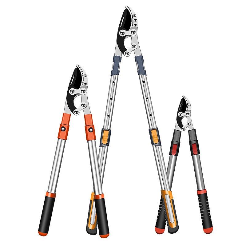 剪枝剪刀果树修枝修剪树枝修枝剪树枝园林大强力S修树枝大力粗枝