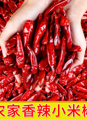 云南小米辣2025新干辣椒微辣特香500g非二荆条朝天椒油泼辣子批发