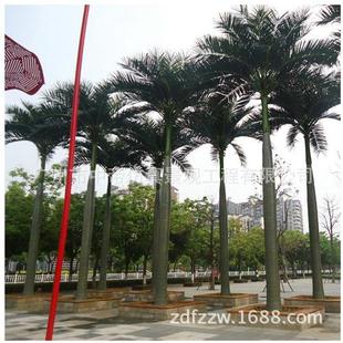 仿真椰子树人造大王椰仿生椰子树公园绿化装 饰树仿真大王椰子树