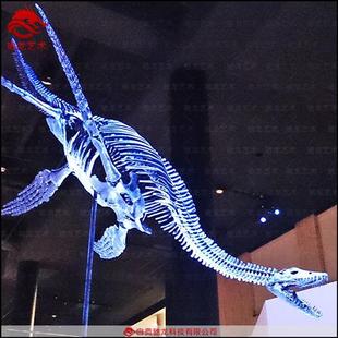 仿真蛇颈龙鱼龙骨架化石大型古生物骨骼化石复原标本模型定制
