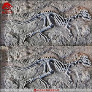 仿真恐龙迅猛龙翼手龙玻璃钢骨架化石室内外儿童沙坑考古恐龙埋藏