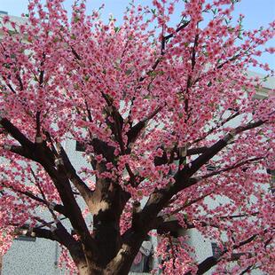 工厂直供仿真桃花树假桃花树各种仿真假树人造许愿树婚庆大树