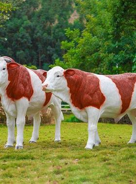 仿真安格斯黑牛模型大型玻璃钢牛雕塑餐厅牧场装饰西门塔尔牛摆件