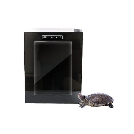 爬虫孵化器变色龙蜥蜴恒温箱爬虫智能孵化机小型孵蛋器