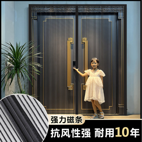 别墅大门防蚊门帘纱网夏季防蝇家用大门口专用进户门连夏季沙帘F