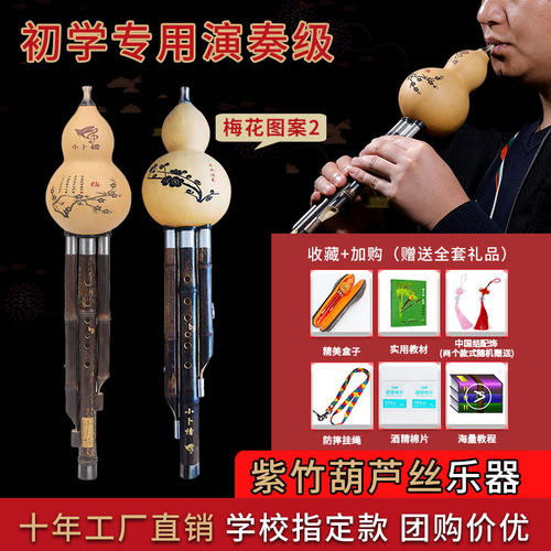 云南葫芦丝小卜情教学演奏型儿童
