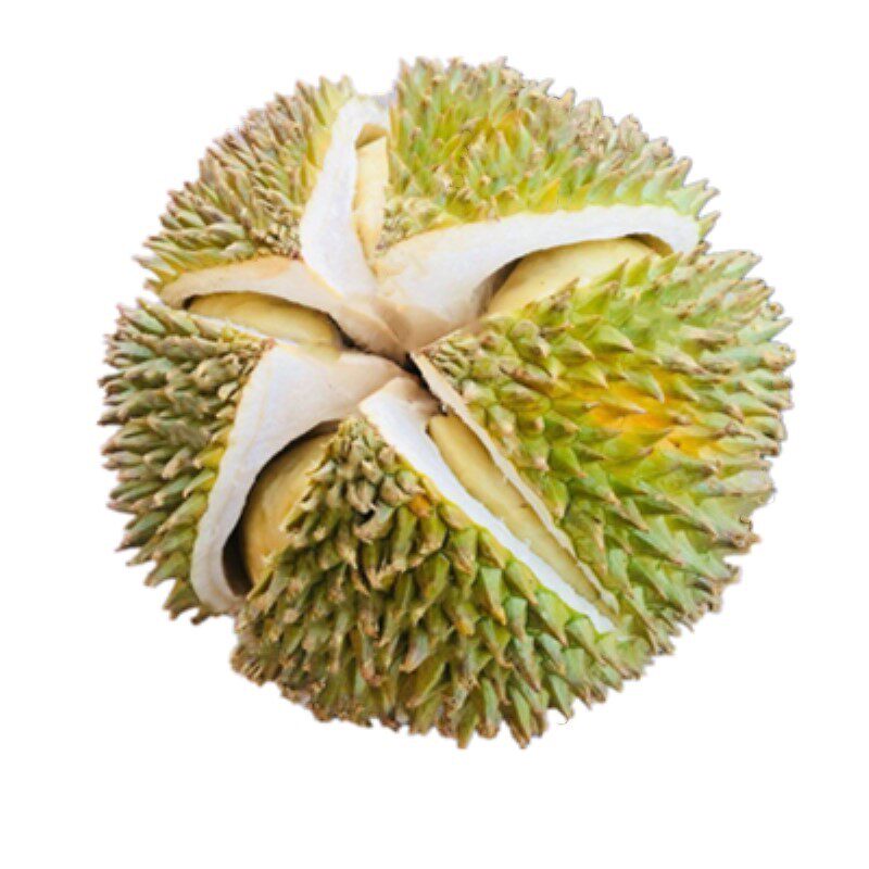 泰国进口榴莲金枕头现摘带壳小巴掌青皮干尧新鲜热带水果批发包邮