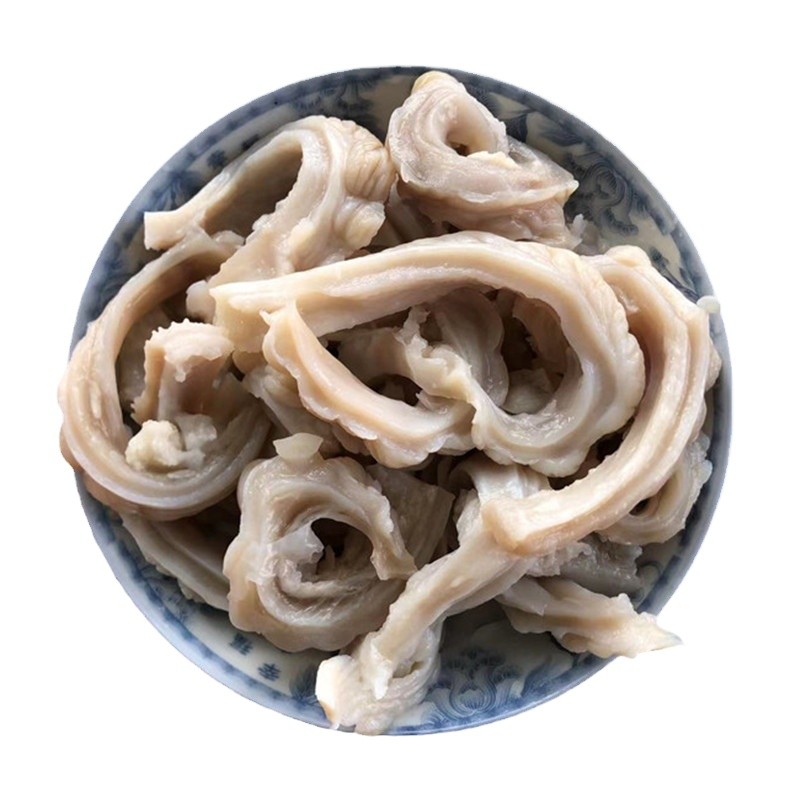 新鲜鲨鱼肚鲨鱼肠爽口脆肚鲜鱼胶深海鱼肚鱼肠火锅食材沙鱼杂商用