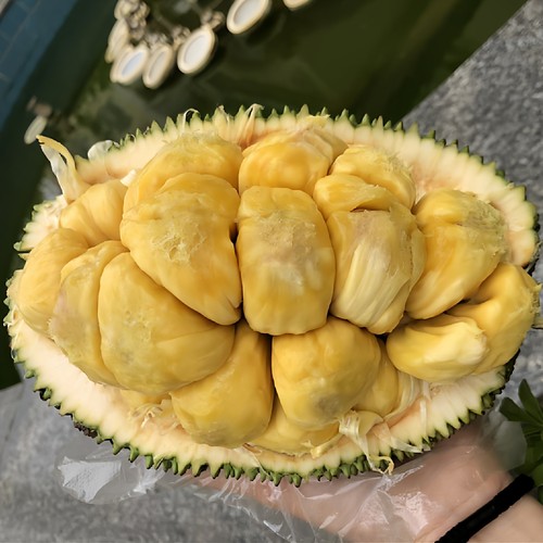 新鲜正宗榴莲蜜小个尖蜜拉尖不拉多肉巴掌迷你湿包热带水果包邮
