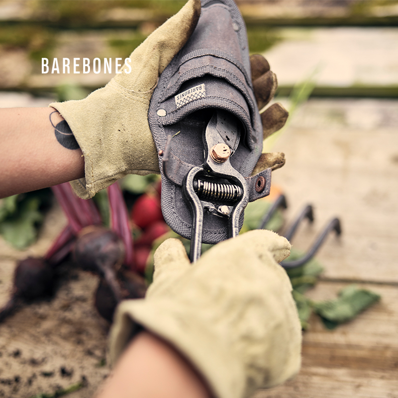 Barebones北邦园艺修枝剪果树