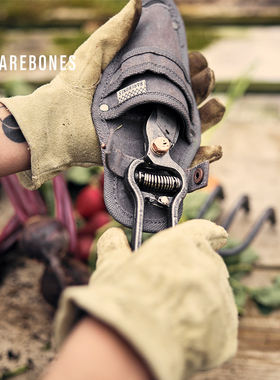 BAREBONES北邦园艺修枝剪果树修剪复古树枝剪刀园林工具专用花剪