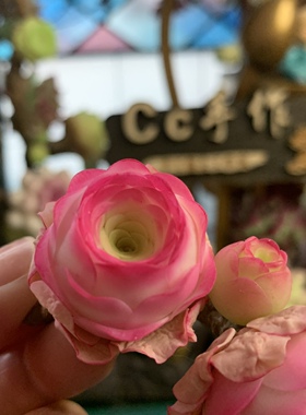 Cc原创迷你树脂黏土仿真多肉玫瑰植物小老桩水晶虾饺汽车摆件生日