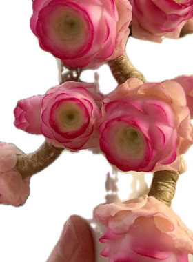 Cc原创迷你树脂黏土仿真多肉玫瑰植物小老桩水晶虾饺汽车摆件生日