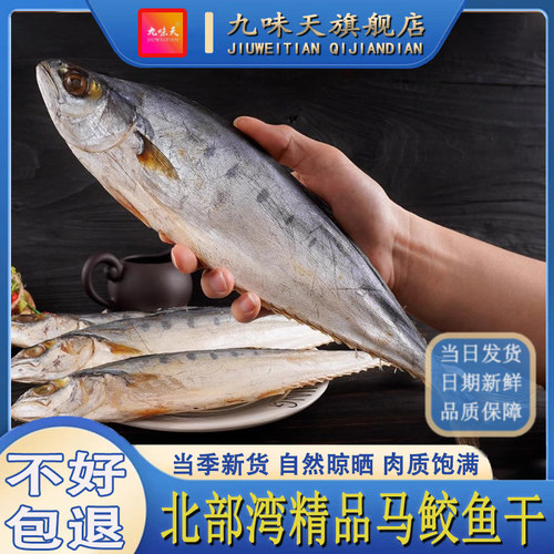 北海梅香蓝点马鲛鱼干新鲜咸鱼干干货海鱼鲅鱼干广西特产海产品