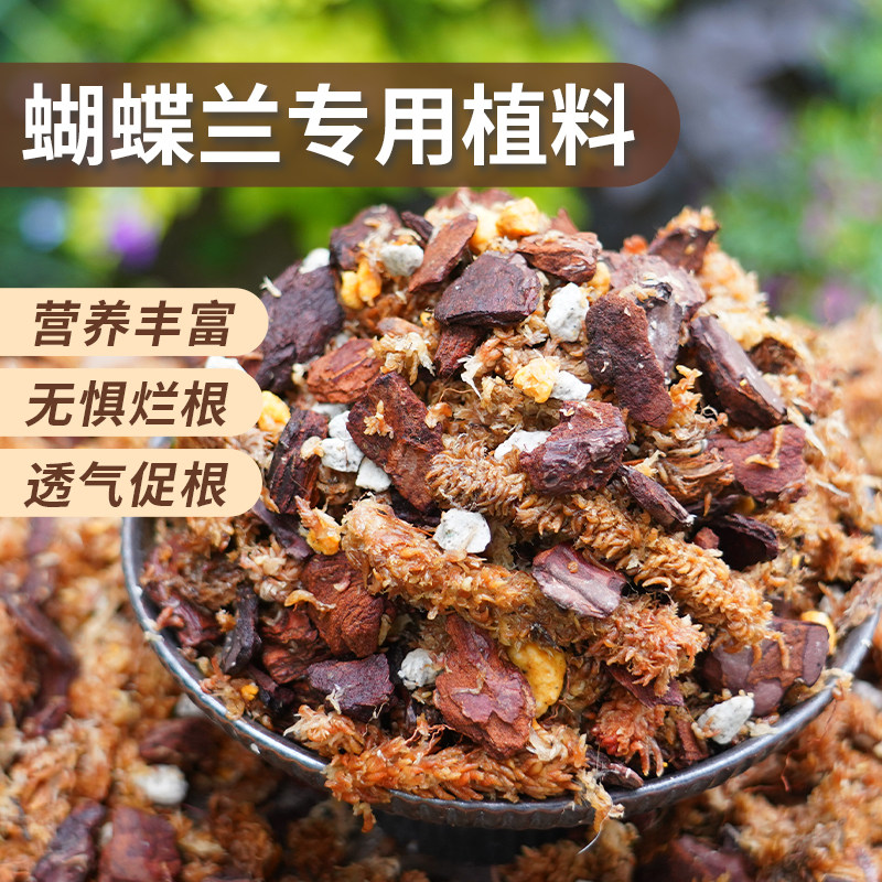 蝴蝶兰专用土盆栽透气松树皮毛毛虫水苔种植料颗粒文心石斛兰花土