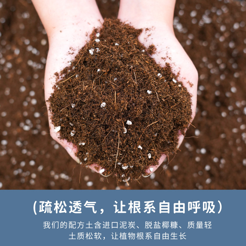 营养土养花专用通用型家用种菜种花多肉植物有机泥炭土种植花土壤