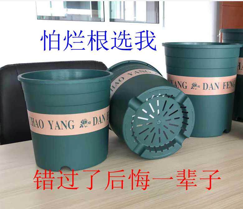 新款加仑控根盆透气渗水防止植物烂根月季绣球铁线莲绿植特大花盆