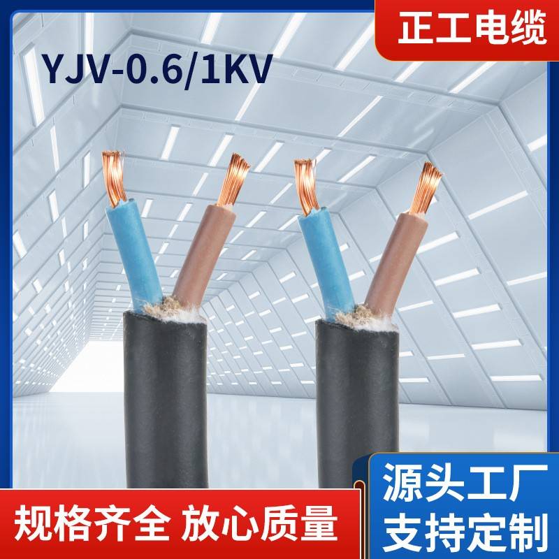 低压电力电缆力铜芯2芯YJV-0.6/1kV重庆四川云南贵州电线电缆