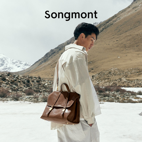 Songmont植鞣皮双肩公文包电脑包