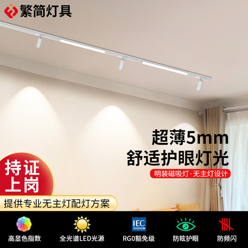 繁简磁吸轨道灯极窄全光谱